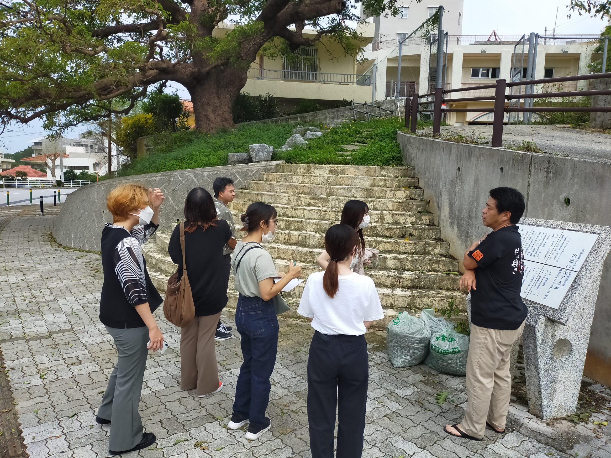 人間社会学科